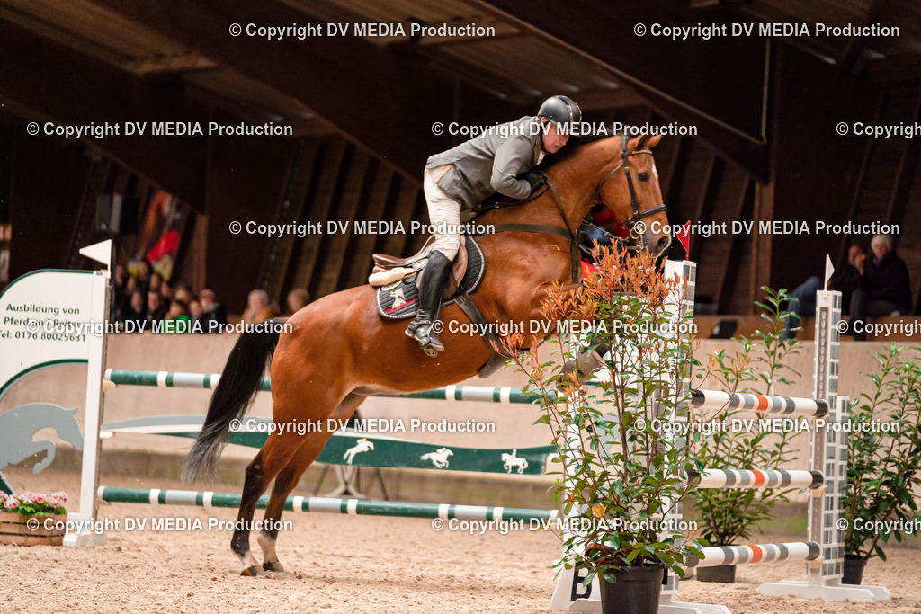 Springen Tag 1-478 | dv-media-shop - Realisiert mit Pictrs.com