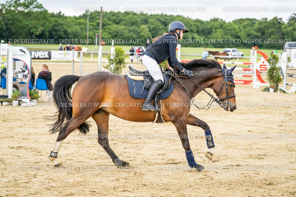 DSC06728 | Pferdegrafie