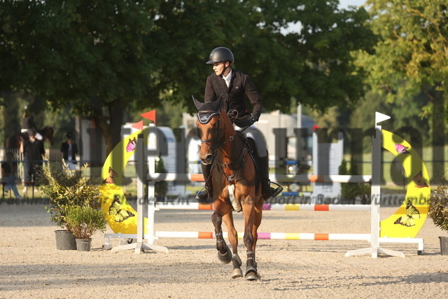 Rot am See_2024_Prfg.Nr.18_Stilspringprfg_Kl.L_LJC_Paul Schleiffer_Kelpi (10) | Alle Fotos der Reiterjournal Fotografin Doris Matthaes im Reiterjournal Online-Fotoshop. - Realisiert mit Pictrs.com