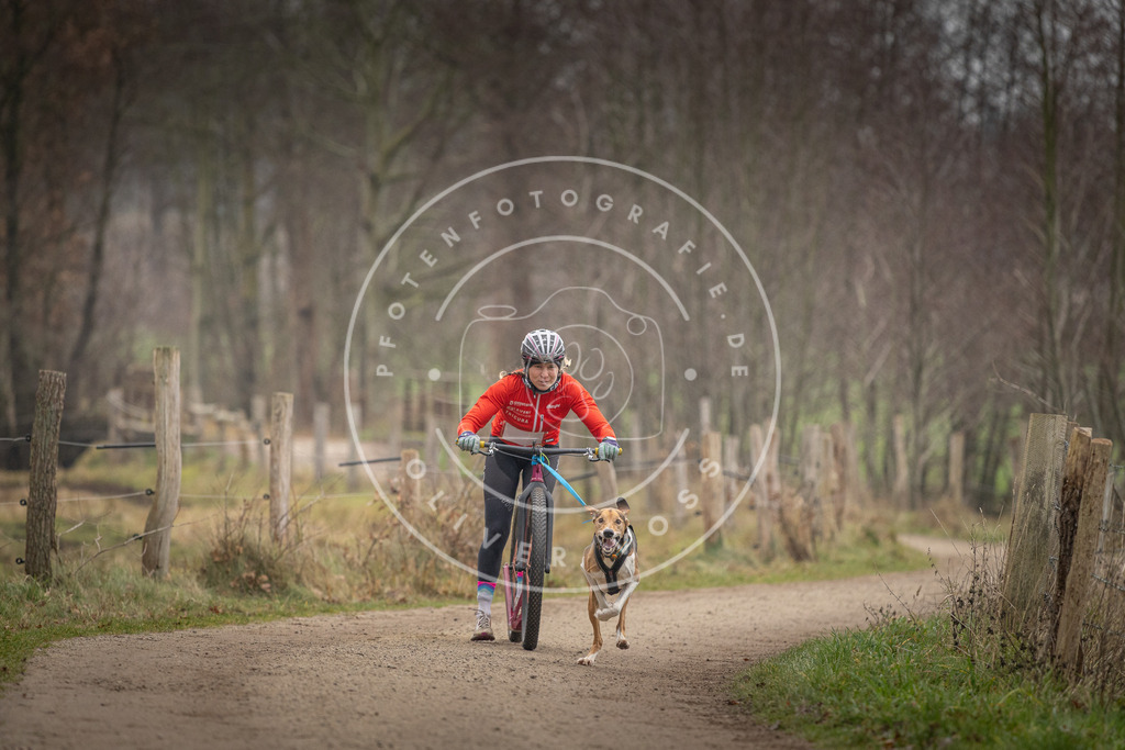 Pfotenfotografie_DV3A2070 | Hundefotografie, Tierfotograf, Pfotenfotografie, Fotoshooting Hund, Hunde Portrait, Hundesport, Hundeportraits, Heideshooting, Hunde, Sportfotograf, Hundefotograf, Turnierhundsport, THS,  - Realisiert mit Pictrs.com