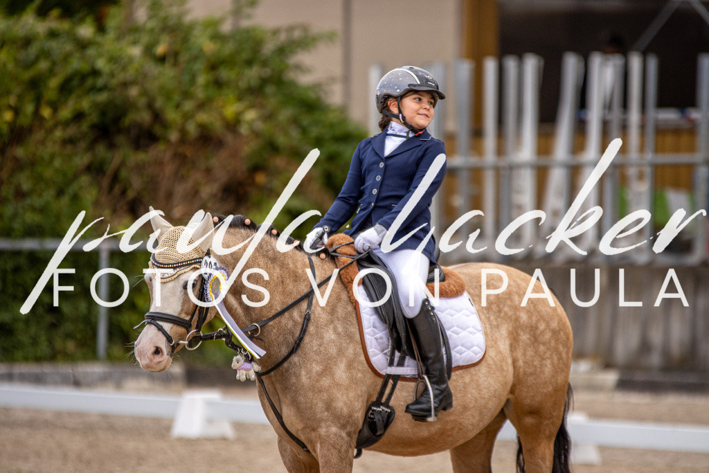 IMG_3616 | Erleben Sie dynamische Sport- und emotionale Tierfotografie in Süddeutschland mit Fotos von Paula. Spezialisiert auf Pferde- und Hundefotografie sowie Sportevents. Kontaktieren Sie mich für einzigartige und ausdrucksstarke Bilder Ihrer besonderen Momente.