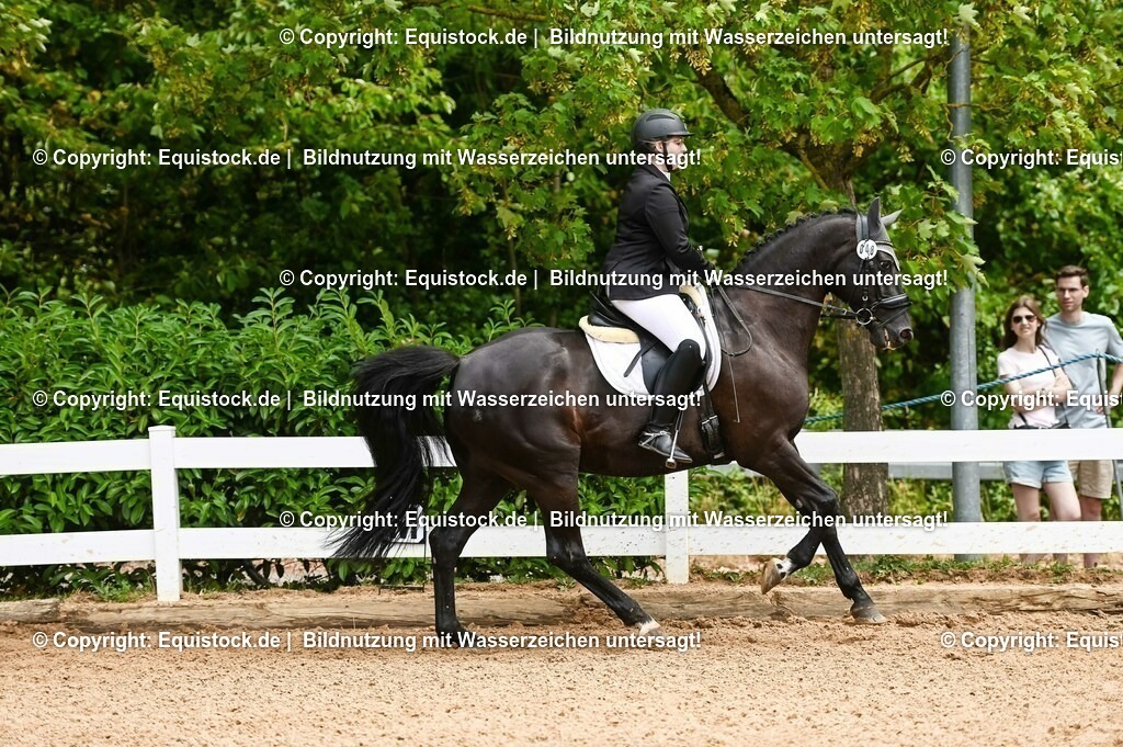 20230716_03_Dressurprfg. Kl.L - Tr._0205 | equistock