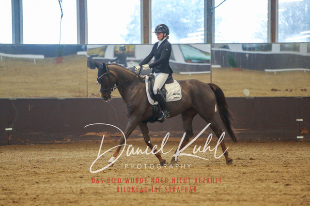 IMG_7497 | Turniersportfotografie; Pferdefotografie; Dressurfotografie