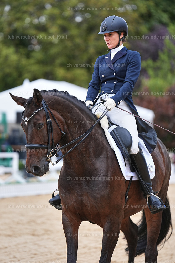 8_1-087-Klasse S_  -Marixx-4122 | working equitationturnier fotograf videograf stoibphotography marixx film working equitation deutschland reitsport turnierfotografie eventfotografie equestrian events