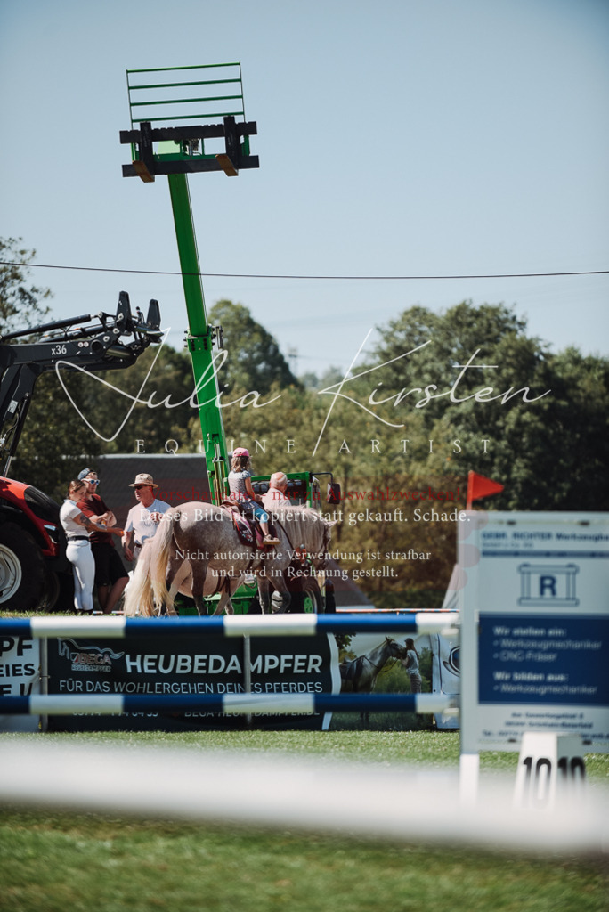 DSC_3015 | Pferde- und Turnierfotografie in Westsachsen. Pferdeportraits, Auftragszeichnungen und intuitive Kunst.