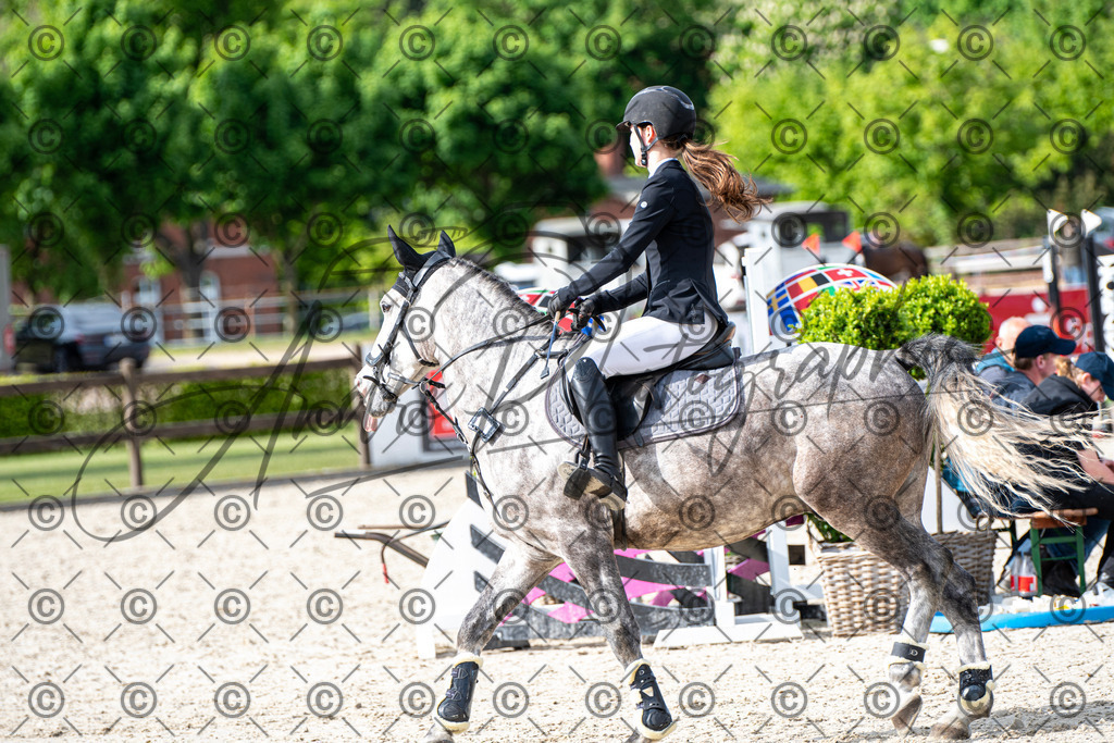 KPT_6647 | andre_photographic