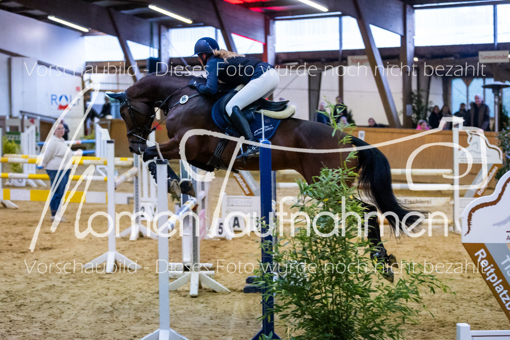 Sth-L-Springen-044 | MomenTaufnahmen Pferdesportfotos