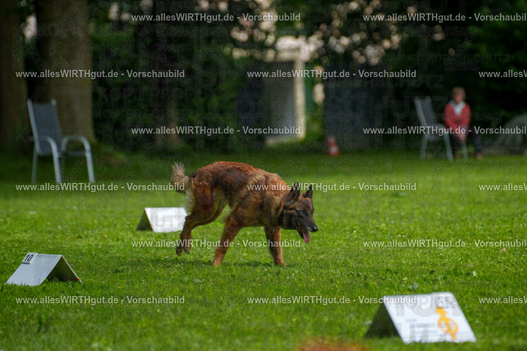 @allesWIRTHgut_Tierfotografie - www.allesWIRTHgut.de - 7R503742 | Professionelle Tierfotografie in Mönchengladbach von Daniel Wirth (allesWIRTHgut). Liebevolle & natürliche Bilder von Hunden & Katzen für unvergessliche Erinnerungen.