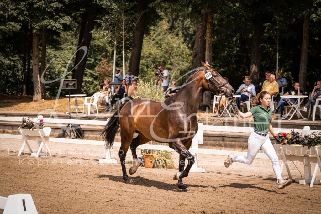 1.Fr00099 | Leoni Ertmer Photography - Realisiert mit Pictrs.com