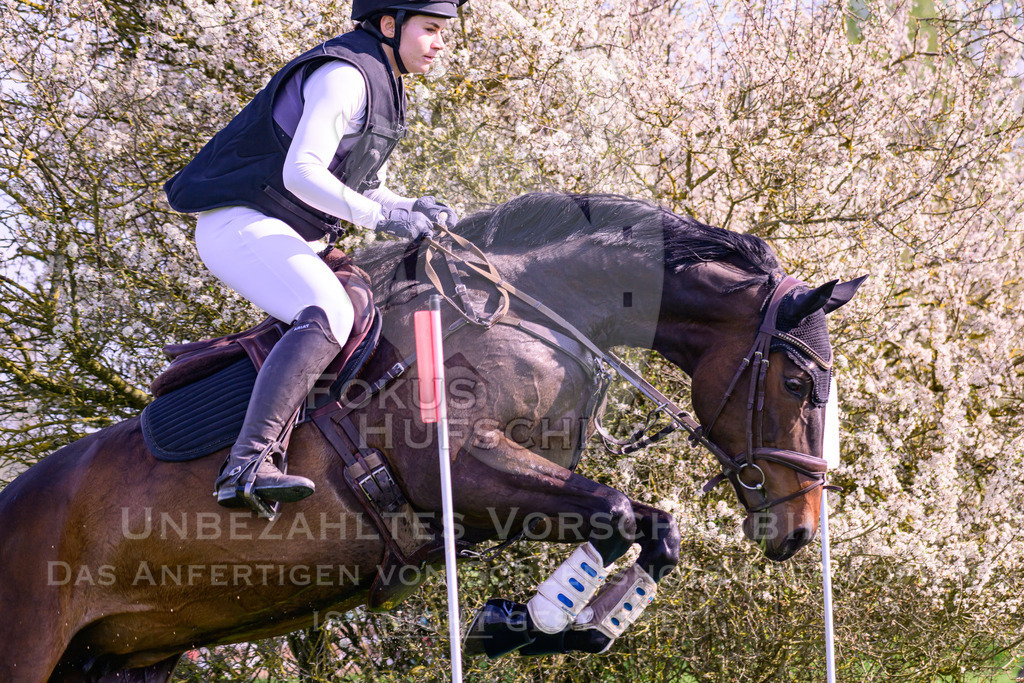 18042026-Gernlinden-04-1-0416 | Fokus Hufschlag Fotografie - Realisiert mit Pictrs.com
