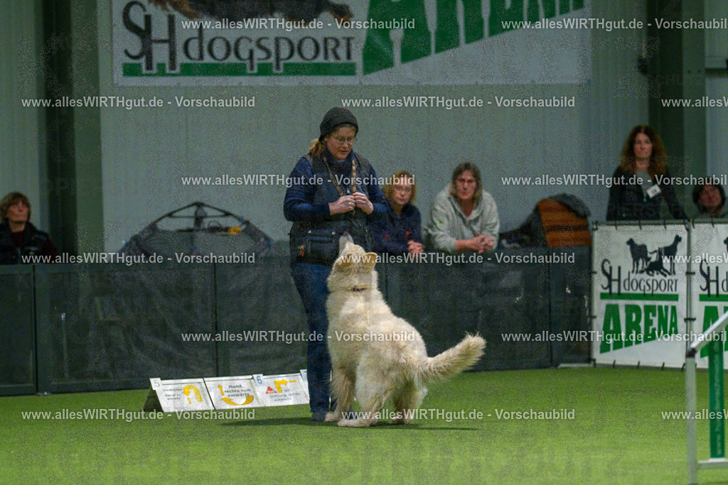 7R504186 | Professionelle Tierfotografie in Mönchengladbach von Daniel Wirth (allesWIRTHgut). Liebevolle & natürliche Bilder von Hunden & Katzen für unvergessliche Erinnerungen.