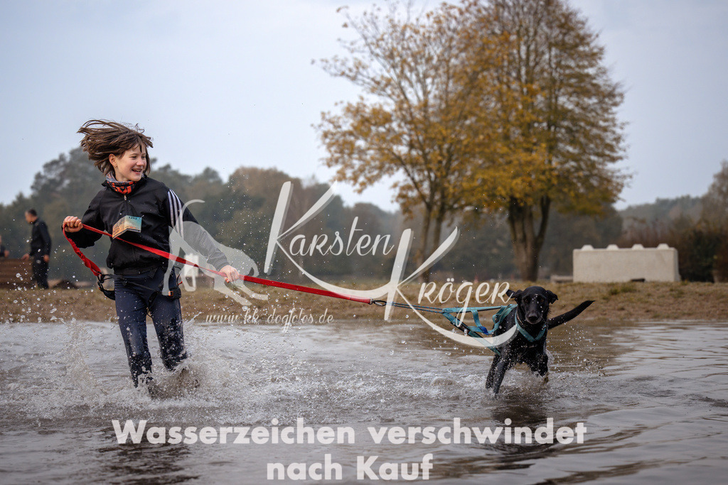 0827_ZZ91791 | kk-dogfotos