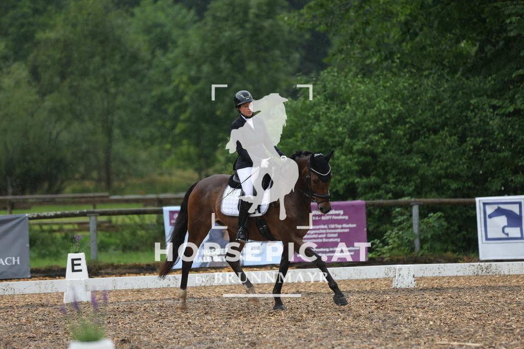 0P6A8196 | Willkommen bei Brunnmayr - Design & Fotografie – Ihrem Spezialisten für Reitturniere und Pferdeveranstaltungen in Oberösterreich, Salzburg und Bayern! Seit über 17 Jahren sind wir leidenschaftlich dabei.