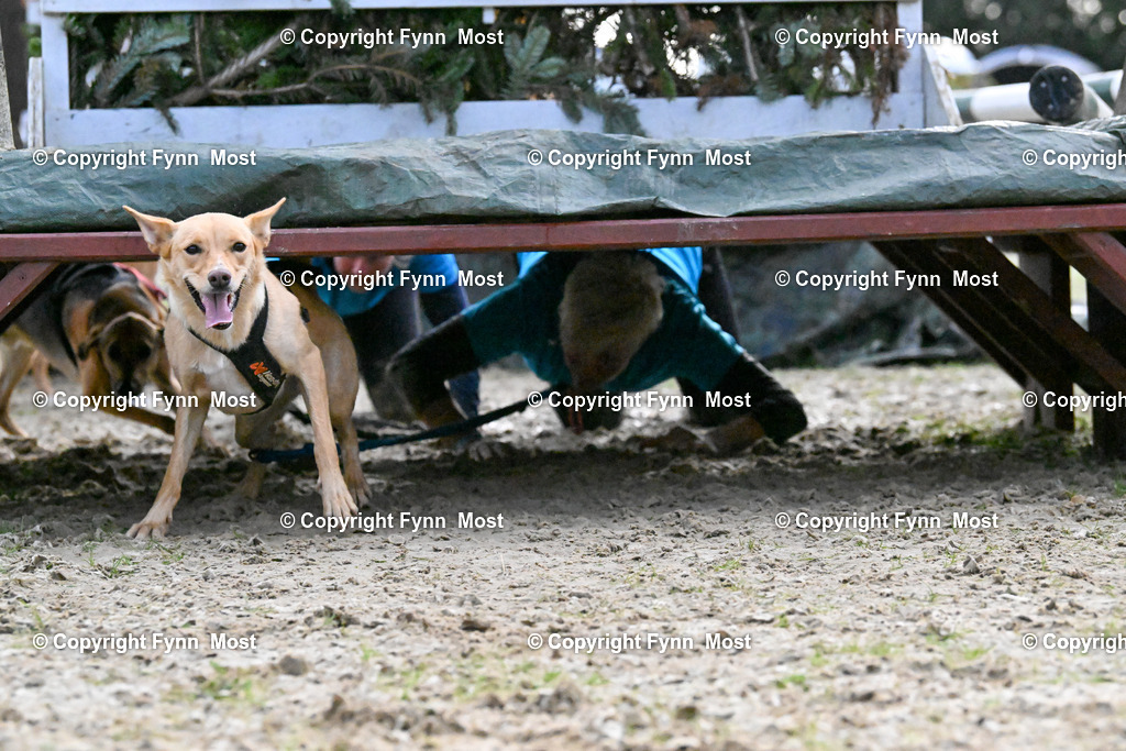 DSC_4768 | Hallo und herzlich Willkommen auf meiner Shop-Seite Fynn Most.

Ich wünsche Dir viel Spaß beim stöbern durch die Bilder, wenn Du Fragen hast oder Bilder vermisst, kannst du mir gerne eine Nachricht schreiben. - Realisiert mit Pictrs.com