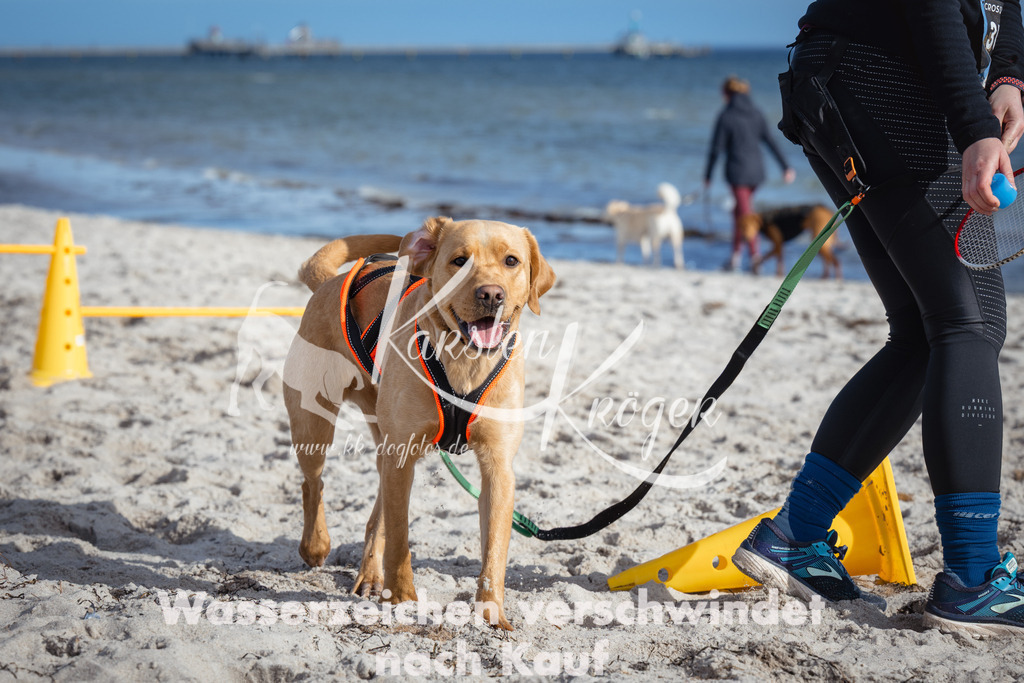 1335_ZZ92143 | kk-dogfotos