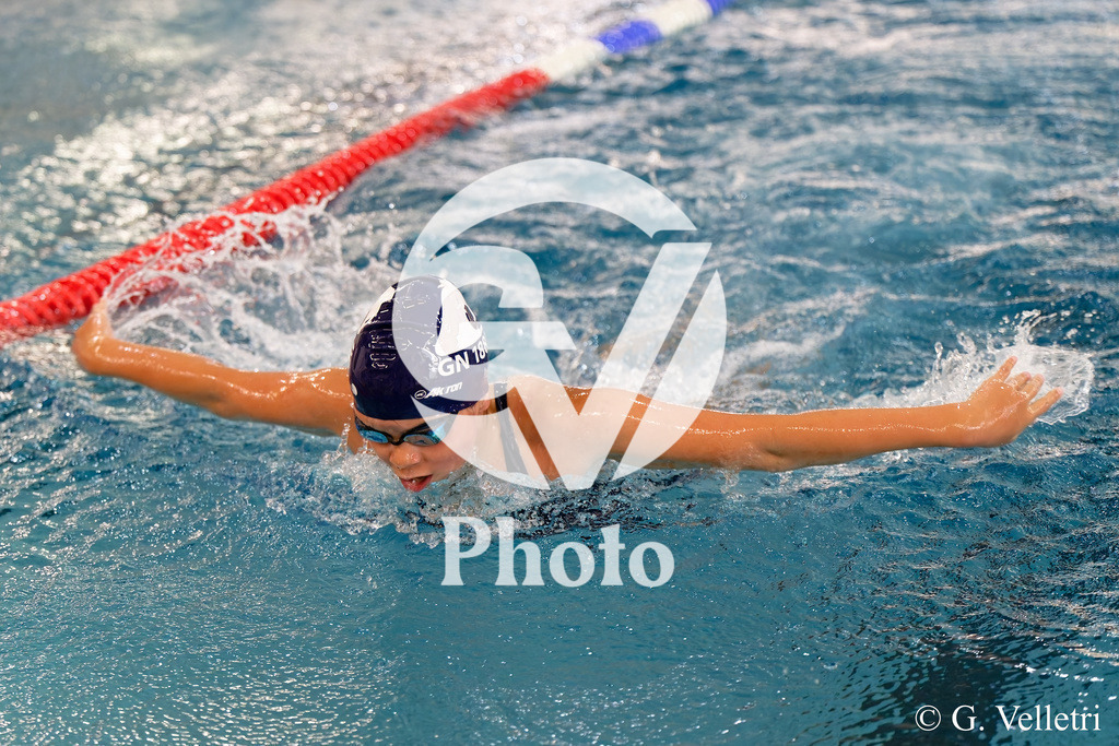 DSC_9616 | Velletri Photo