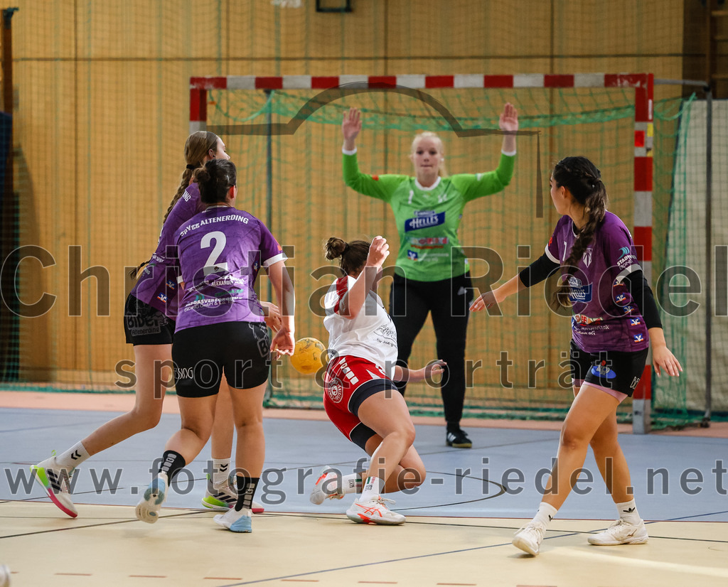 2024-10-13_015_SpVgg_Altenerding_gegen_SC_Freising | Erding, Deutschland, 13.10.2024:Handball, Bezirksoberliga Frauen Altbayern 2024 / 2024, 3. Spieltag, SpVgg Altenerding gegen SC Freising, Endergebnis: 26:35Janina Konrad (SpVgg Altenerding, #2), Michelle Gruber (SpVgg Altenerding, #7)Foto: Christian Riedel / fotografie-riedel.net