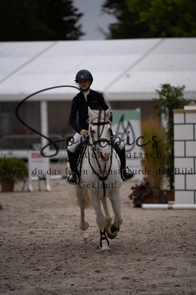 A7V08335 | Pferdefotograf