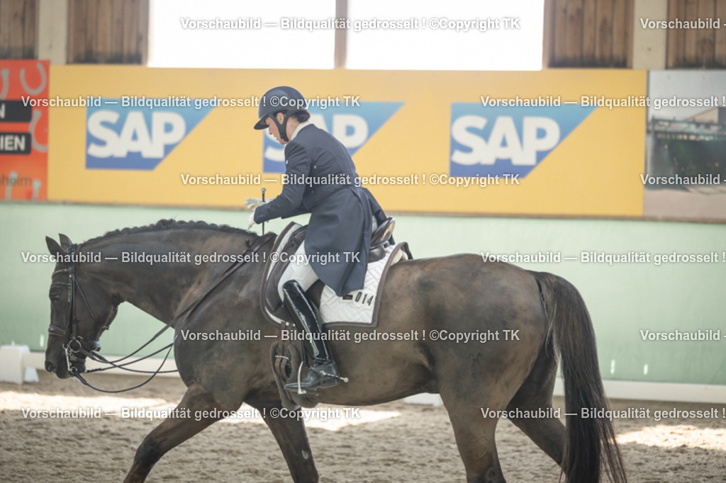 _D5A1870 | Emotionale Pferde- & People-Fotografie rund um Heidelberg, Leimen & Umgebung. Natürliche Fotos von Pferd, Mensch & Familie. Jetzt Termin sichern!