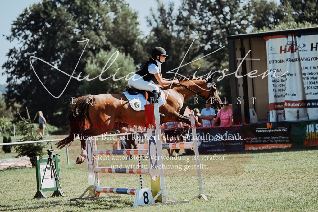 DSC_6156 | Pferde- und Turnierfotografie in Westsachsen. Pferdeportraits, Auftragszeichnungen und intuitive Kunst.