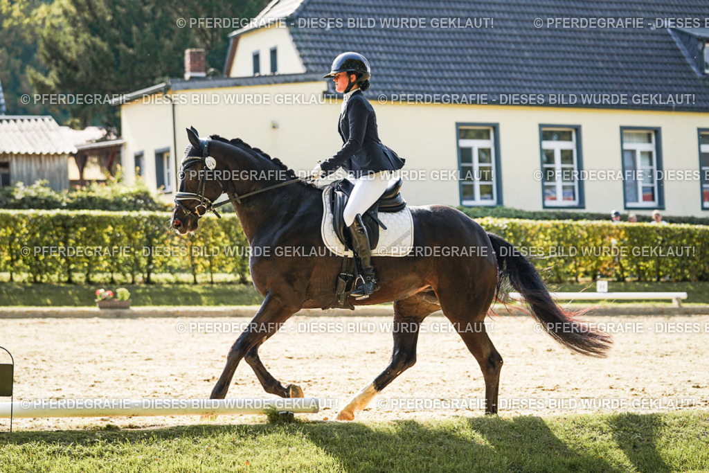 DSC08372 | Pferdegrafie