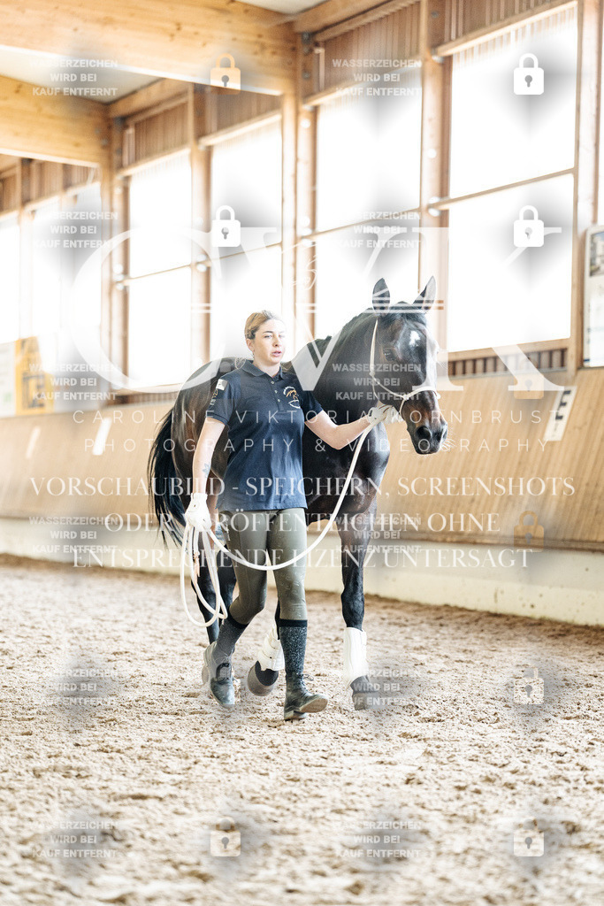 CK908079 | Turnierfotografie Pferdefotografie Trier Rheinland-Pfalz Pferdesport Reitsport Tierfotografie Sportfotografie Pferdevideo Pferdevideografie Equestrianvideography equestrianphotography  - Realized with Pictrs.com
