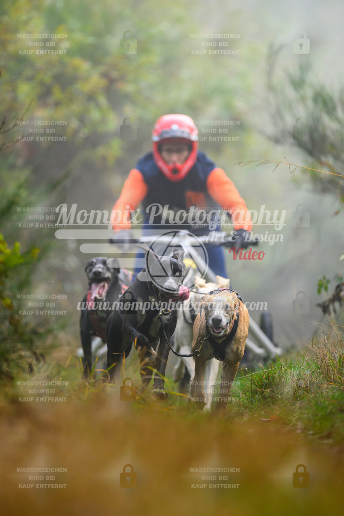 MompixPhotography_20TSB_E4_Kart-4 | PayLife