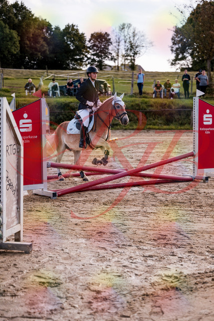2026_10_03_Siefer-Hof_145444_Z81_34715548 | Professionelle Reitsport-, Turnier- und Eventfotografie von Robert Broda. Galerien mit ausgewählten und bearbeiteten Bildern direkt online ansehen und bestellen.