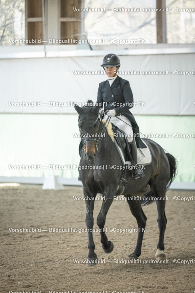 _D5A1053 | Emotionale Pferde- & People-Fotografie rund um Heidelberg, Leimen & Umgebung. Natürliche Fotos von Pferd, Mensch & Familie. Jetzt Termin sichern!