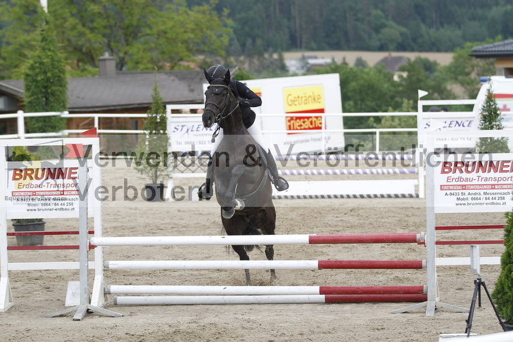 _MG_1186 | equestrian-live-com