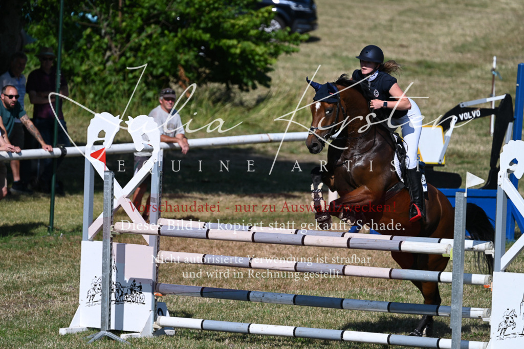 DSC_2103 | Pferde- und Turnierfotografie in Westsachsen. Pferdeportraits, Auftragszeichnungen und intuitive Kunst.