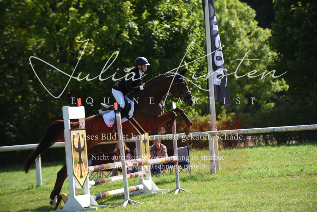 DSC_9183 | Pferde- und Turnierfotografie in Westsachsen. Pferdeportraits, Auftragszeichnungen und intuitive Kunst.