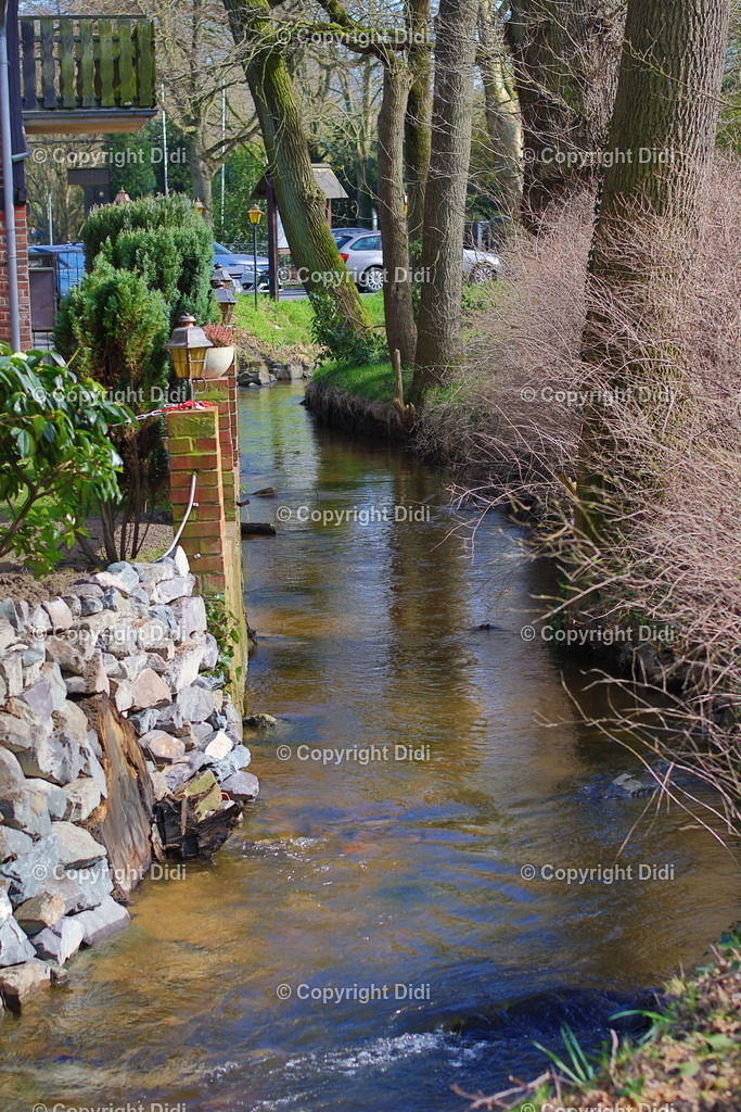 IMG_2141 | Didi - Realisiert mit Pictrs.com