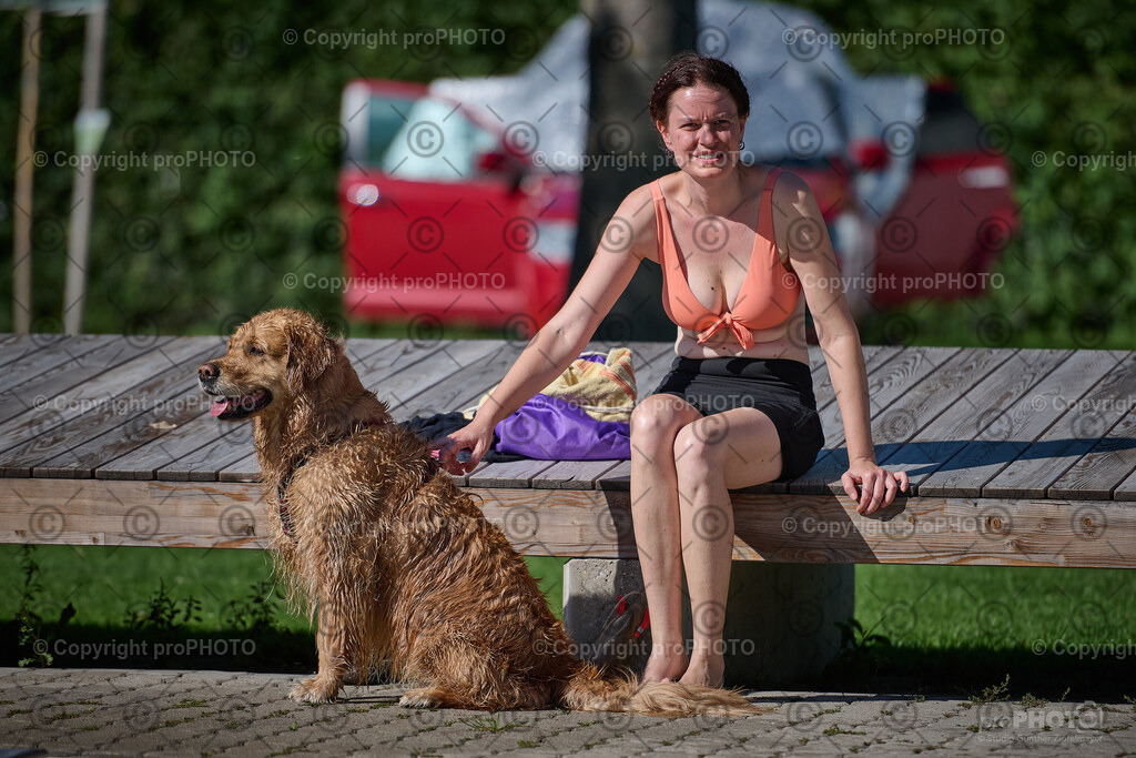 229_202509_4Hundebadetag_NZ9_2893 | proPHOTO - Realisiert mit Pictrs.com