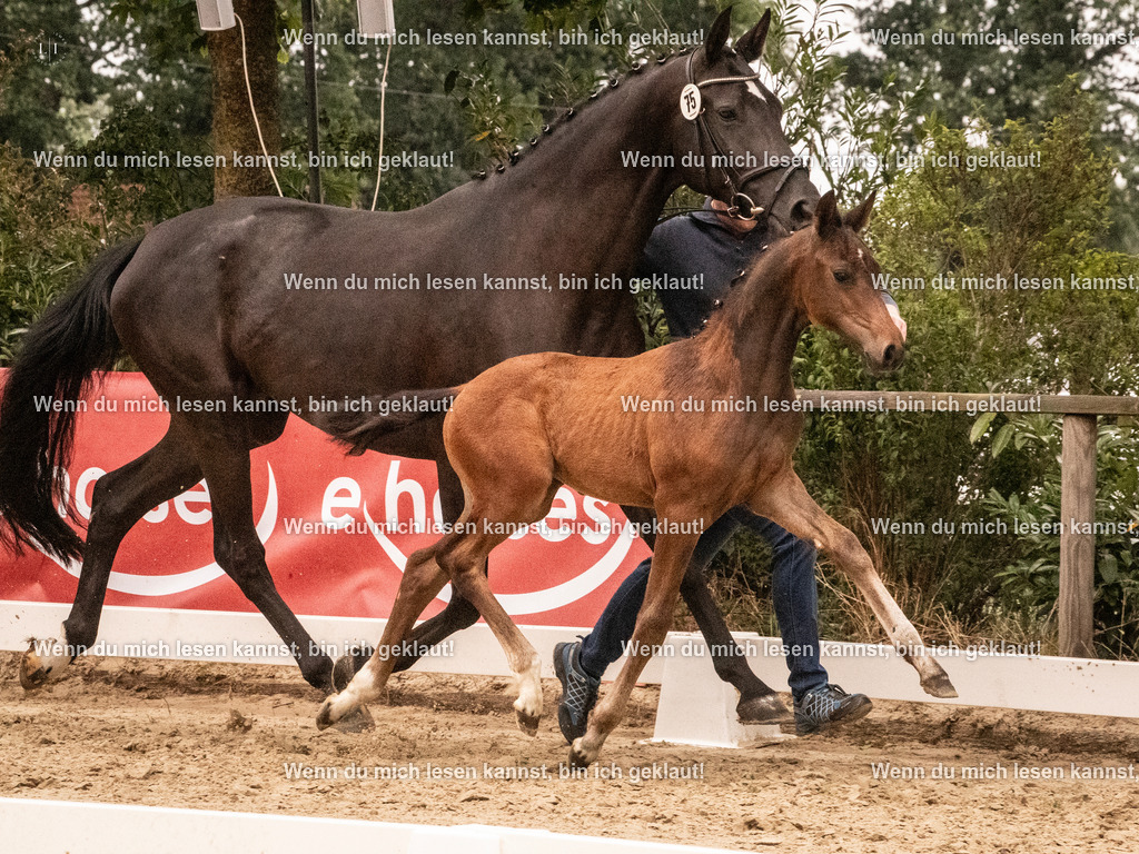 A10I1537 | photographylinaismer - Realisiert mit Pictrs.com