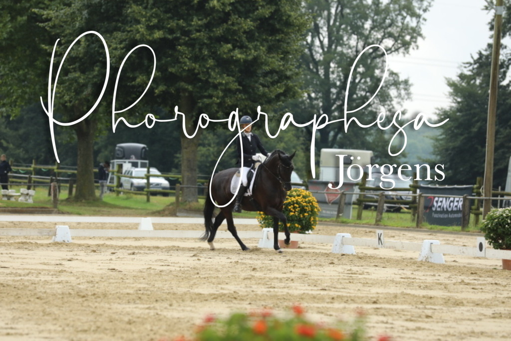 IMG_5427 | photographesa-joergens - Realisiert mit Pictrs.com