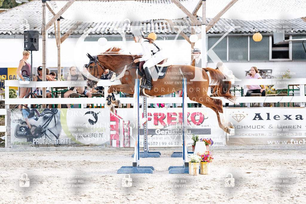 CK906955 | Turnierfotografie Pferdefotografie Trier Rheinland-Pfalz Pferdesport Reitsport Tierfotografie Sportfotografie Pferdevideo Pferdevideografie Equestrianvideography equestrianphotography  - Realisiert mit Pictrs.com