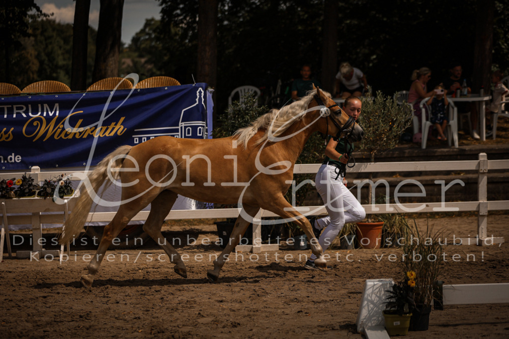 06.So00050 | Leoni Ertmer Photography - Realisiert mit Pictrs.com