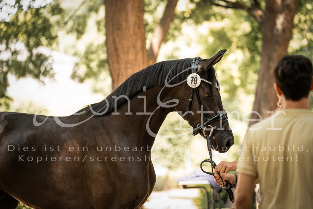 FrPfM00197 | Leoni Ertmer Photography - Realisiert mit Pictrs.com