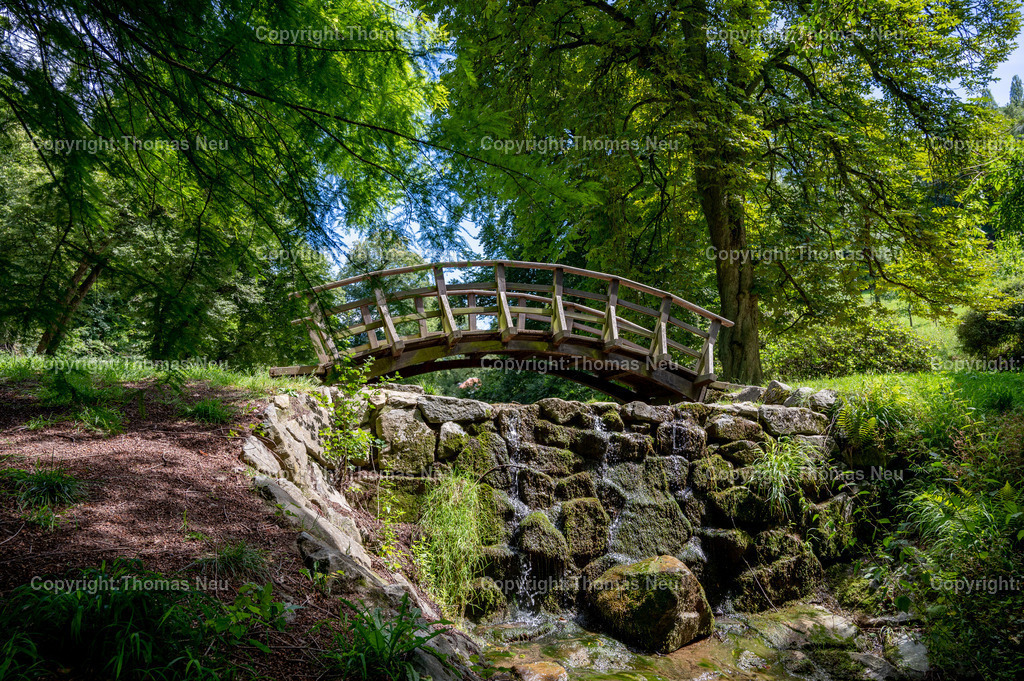 DSC_1867 | Der Staatspark Fürstenlager in Bensheim Auerbach, an der hessischen Bergstraße- ist ein wunderschöner Landschaftspark nach englischen Vorbild. Es war die Sommerresidenz der Darmstädter Fürstenfamilie die hier das "einfache Landleben" genossen. Zu jeder Jahreszeit kann man das Fürstenlager als Ausflugsziel empfehlen. Im Herrenhaus ist eine Gastronomie untergebracht. Im Sommer findet auf der Bühne vor der großen Wiese ein Opern-Air statt, 