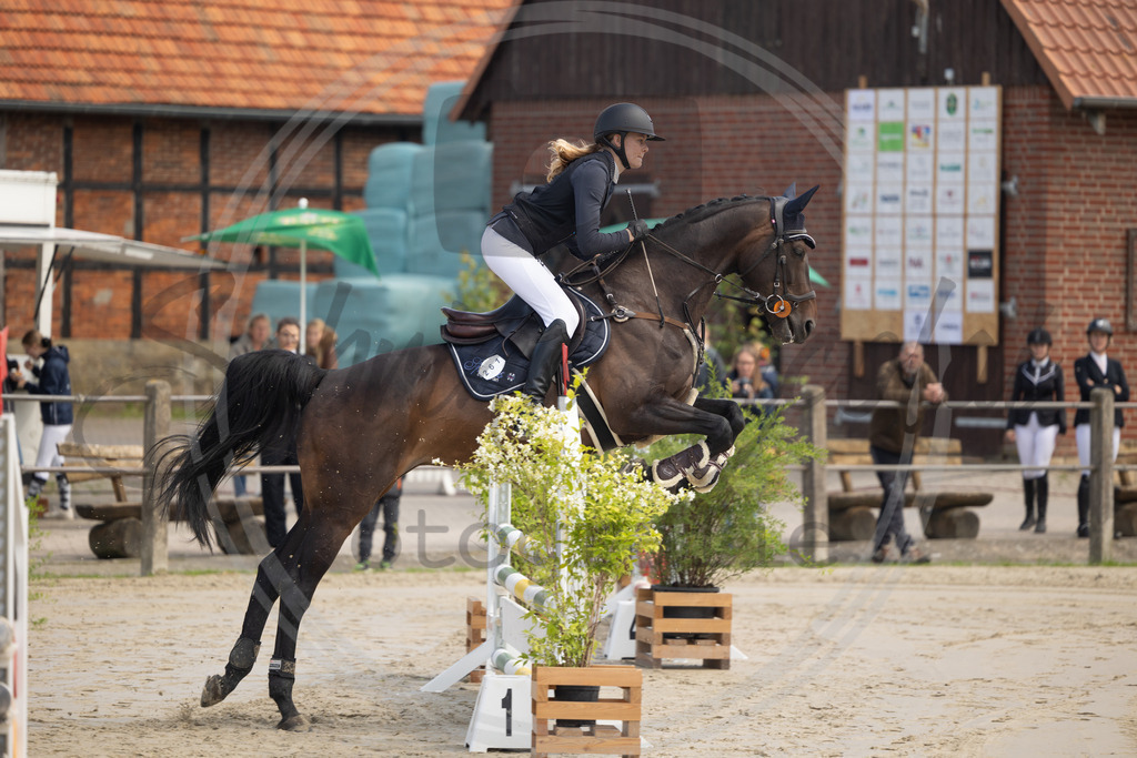 994A9346 | sabrinanicolaifotografie - Realisiert mit Pictrs.com