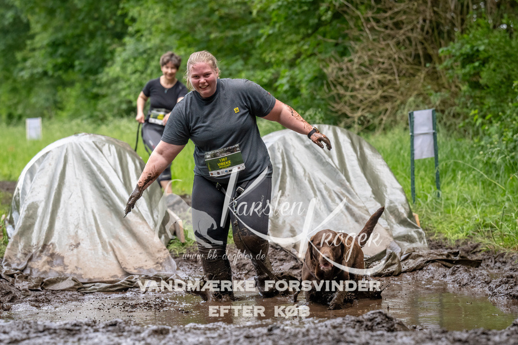 1536_ZZ94415-Bearbeitet | kk-dogfotos