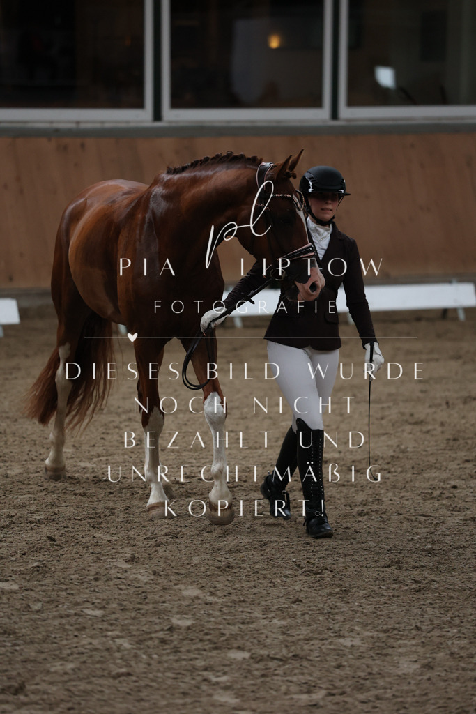 IMGM7125 | pl-fotografie