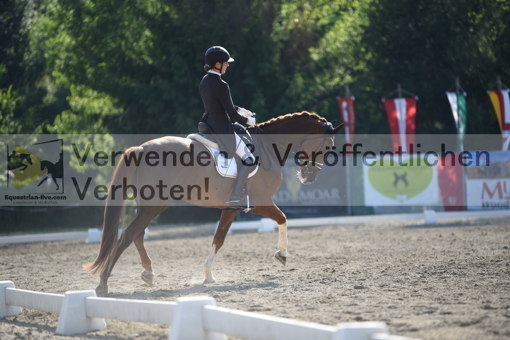 DSC_2773 | equestrian-live-com