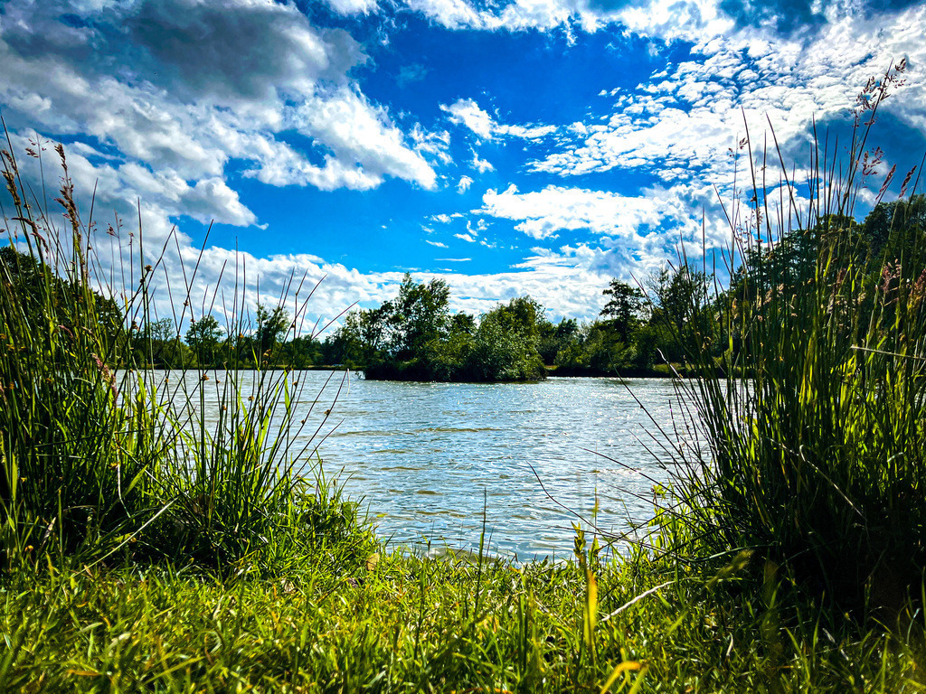 Fenster zum See - Ortenberg | Kurz vor Ortenberg lohnt sich ein Abstecher zum Selters-Weiher. Von einer Sitzbank am Ufer eröffnet sich ein malerischer Blick auf eine kleine Insel inmitten des Gewässers. Die Wolken scheinen das kleine Eiland zu umkreisen und die Szenerie wird wie ein Gemälde von hohen Gräsern eingerahmt, die dem rauen Wind nachgeben. - Realisiert mit Pictrs.com