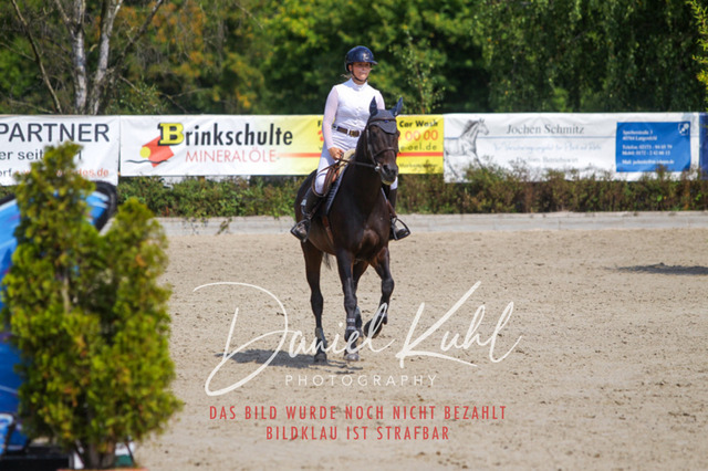 Gut Blee25_Amateuer Stilsprpfg Kl A_0362 | Turniersportfotografie; Pferdefotografie; Dressurfotografie