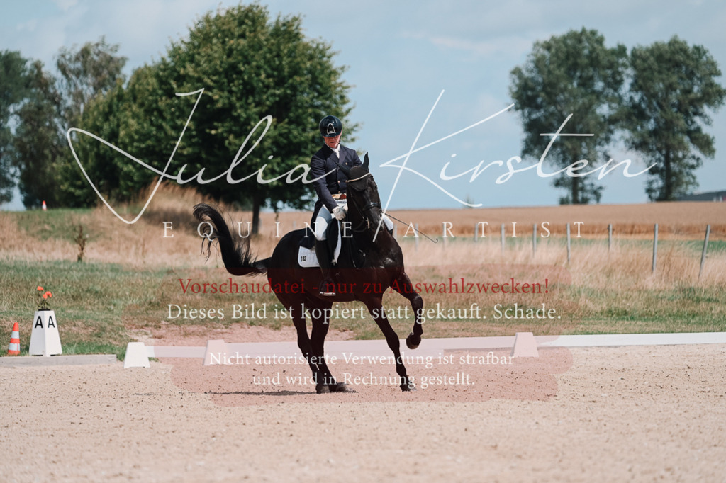DSC_4024 | Pferde- und Turnierfotografie in Westsachsen. Pferdeportraits, Auftragszeichnungen und intuitive Kunst.
