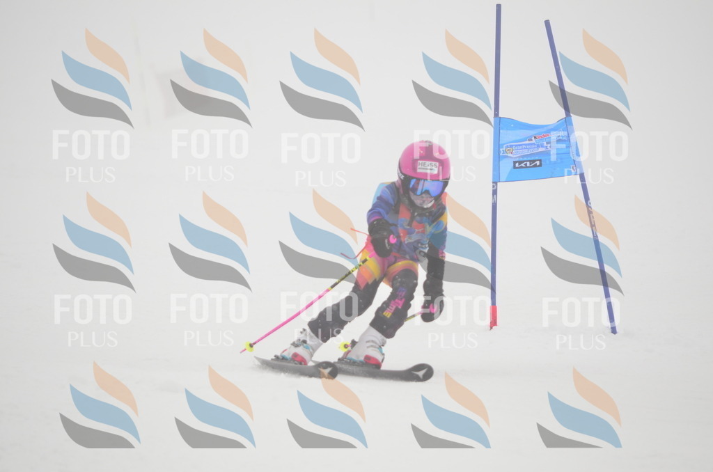 C1298 | holidayphoto