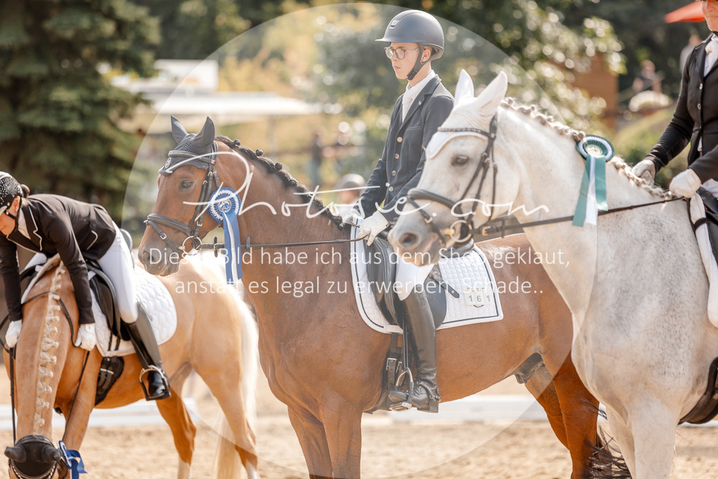 3I6A4539 | Stimmungsvolle Portraits und Reitsportfotografie im Ruhrgebiet und im Münsterland.

Pferdefotografie, Hundefotografie, Tierfotografie, Reportagen, Portraits von Tier und Mensch, Turnierfotografie in Bochum, Recklinghausen, Marl, Haltern am See, Dülmen.. - Realisiert mit Pictrs.com