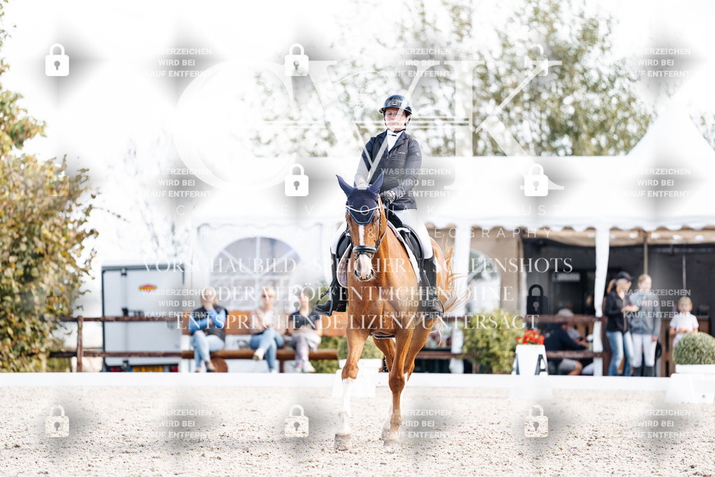 CK902434 | Turnierfotografie Pferdefotografie Trier Rheinland-Pfalz Pferdesport Reitsport Tierfotografie Sportfotografie Pferdevideo Pferdevideografie Equestrianvideography equestrianphotography  - Realisiert mit Pictrs.com